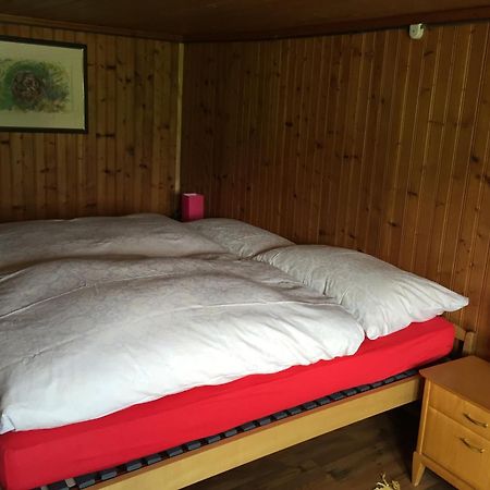 Bed and Breakfast Wohlfuehloase Fuer Mensch Und Hund Uzwil Екстер'єр фото