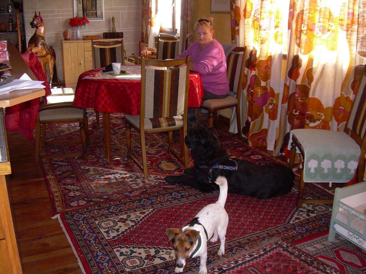 Bed and Breakfast Wohlfuehloase Fuer Mensch Und Hund Uzwil Екстер'єр фото