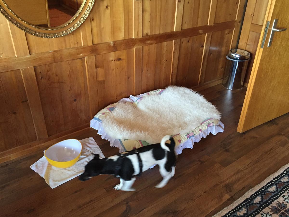 Bed and Breakfast Wohlfuehloase Fuer Mensch Und Hund Uzwil Екстер'єр фото