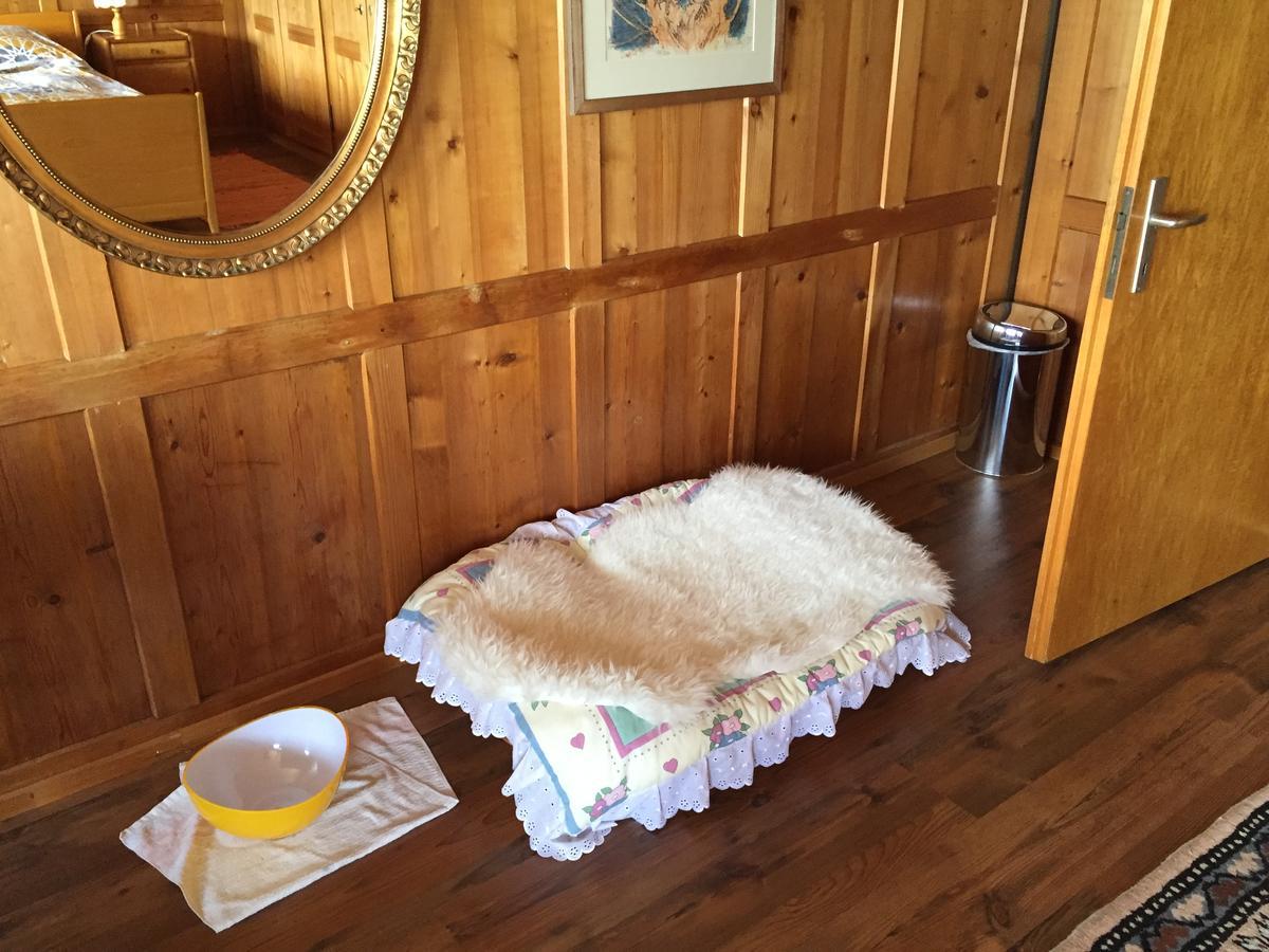 Bed and Breakfast Wohlfuehloase Fuer Mensch Und Hund Uzwil Екстер'єр фото